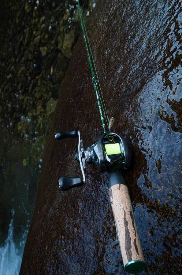 JetSetter 36C Sprout