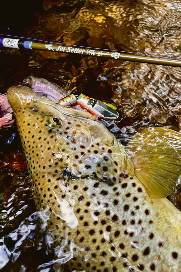 Jetsetter 500C Synchro