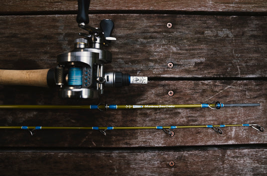 Jetsetter 500C Synchro