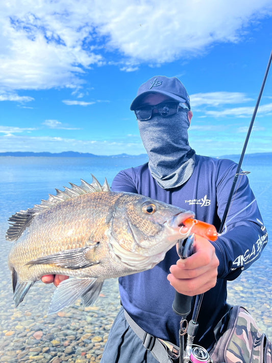 BlueCurrent Wizy 710/4