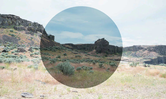 Smith Optics Lowdown XL 2 replacement lenses (Polarized)