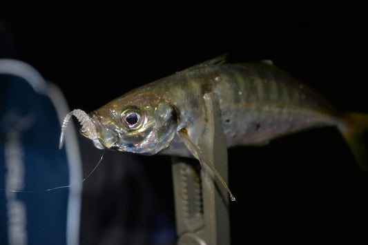 MBW07 Vacuum Ring 2"