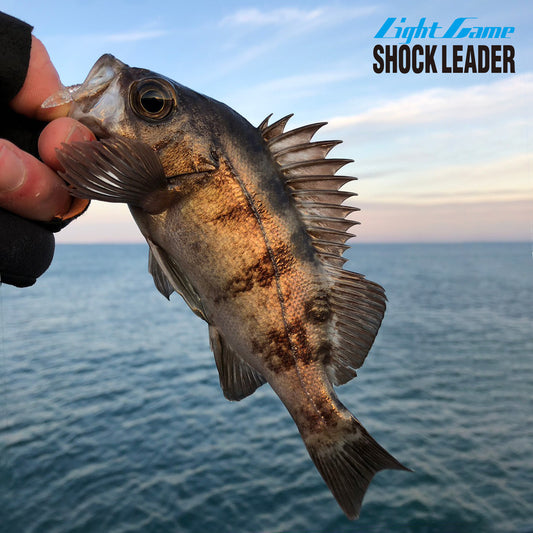 Light Game Shock Leader FC