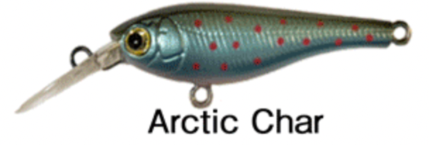 Diving Beetle 40mm 2.3g SP