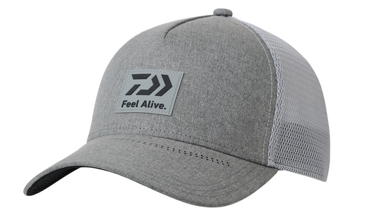 24 DC-9024 Box Logo Cap