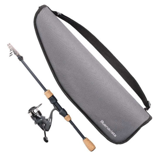 22 Buenavista Combo 1000 S56L