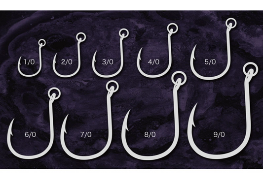 207RK Ringed Kudako (Clearance)