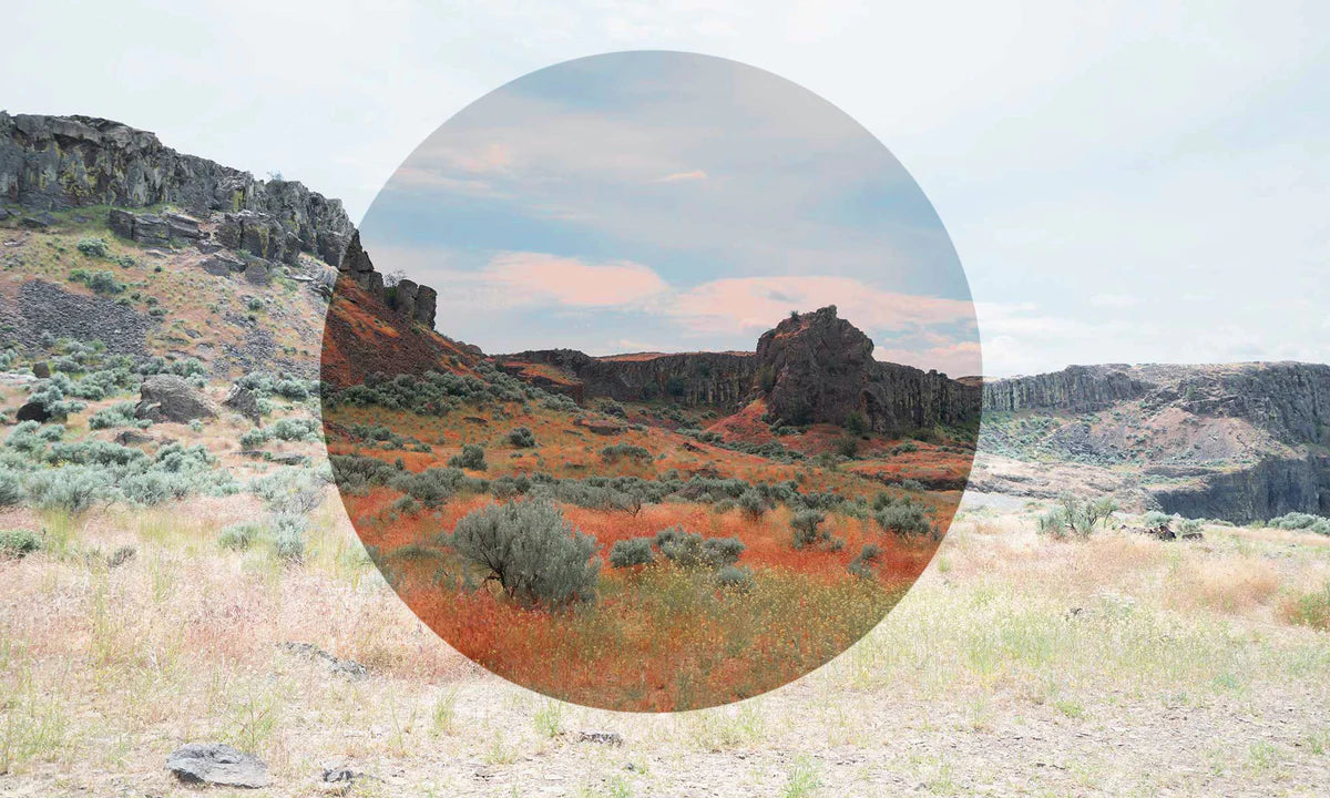 Smith Optics Barra replacement lenses (Polarized)