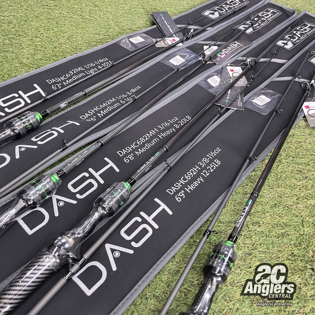 The 1st Model BC (2pc)