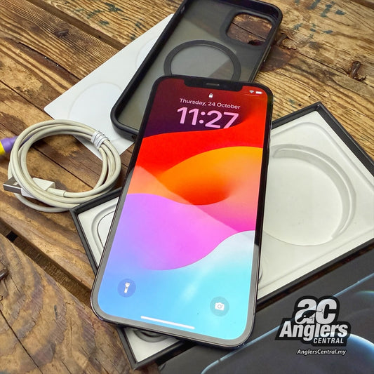 2020 iPhone 12 Pro (256GB Pacific Blue) (USED, 9/10)