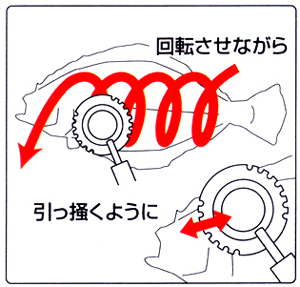 Ginrin Fish Scale Remover (USED) made in Japan