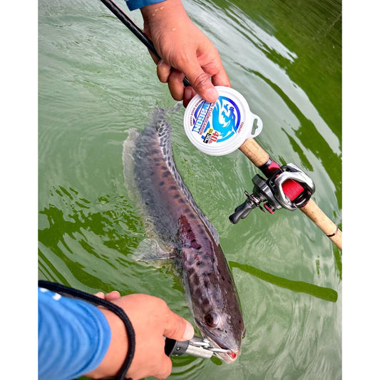 Dragon 100% Fluorocarbon Leader