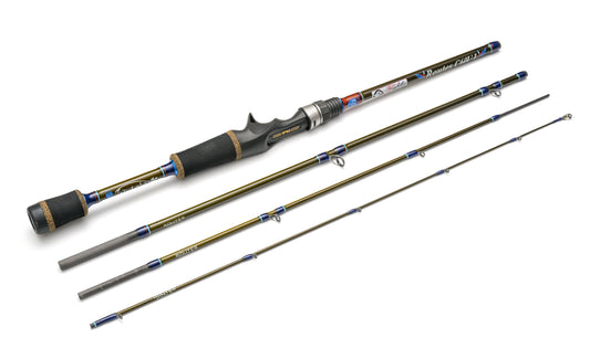 Routes C60UL (Flightex)