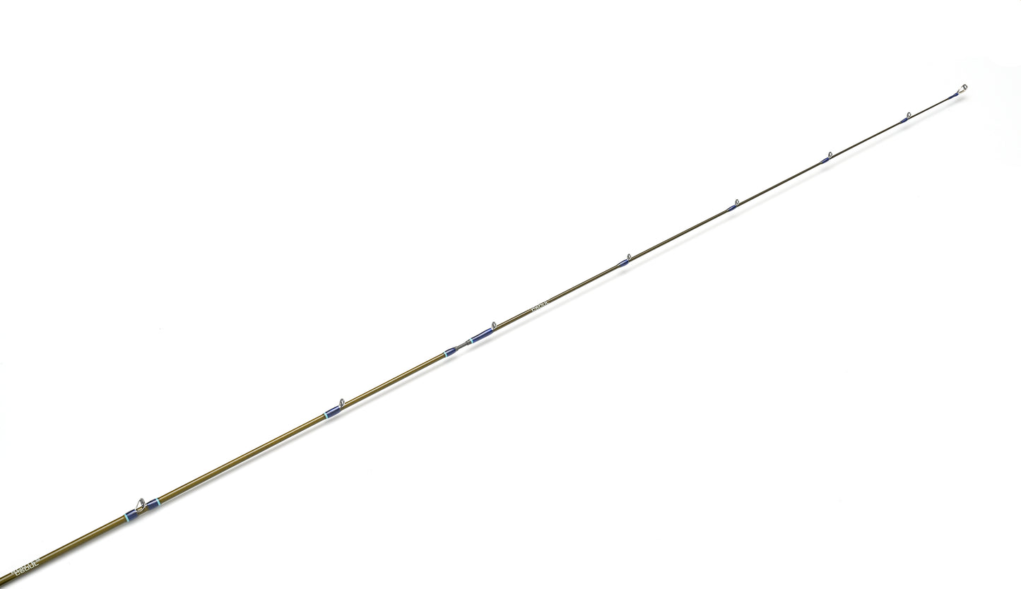 Routes C60UL (Flightex)