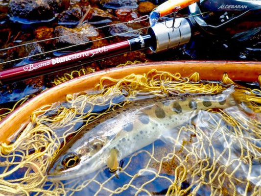 Beams blancsierra5.2UL FB-B52UL