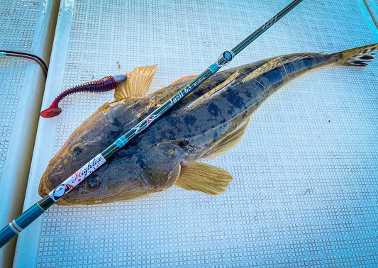 Jazil 63M (Flightex)