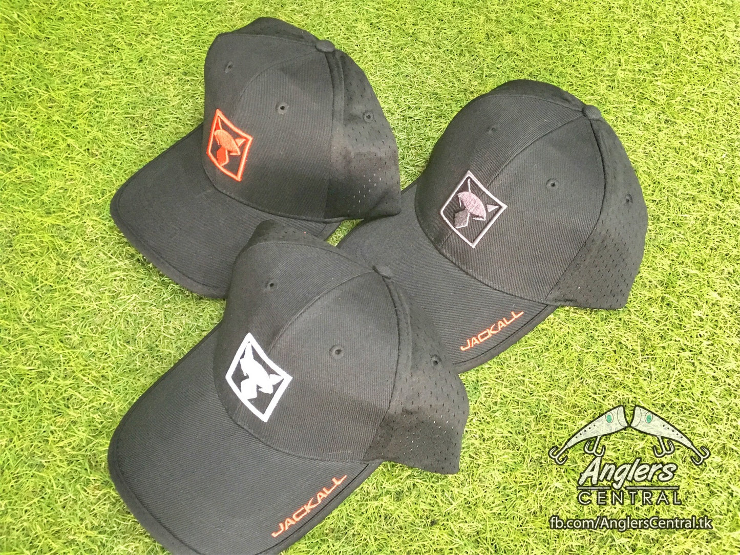 Jackal Square Logo Cap