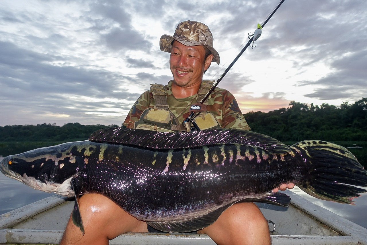 El Horizonte 70 (2019) EH70