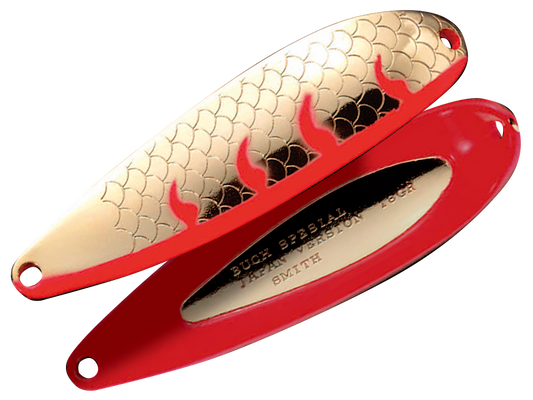 Buch Special Japan Version