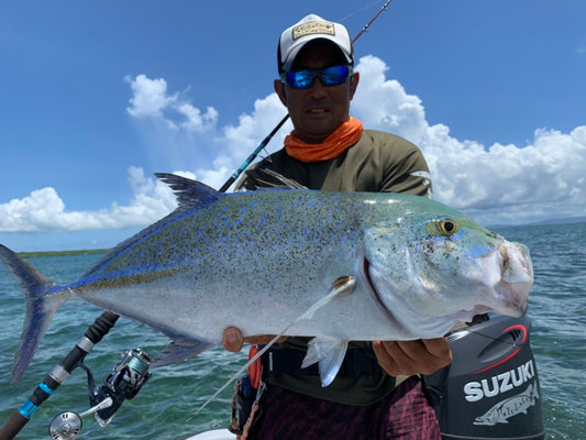 Panari Takidun S82BF