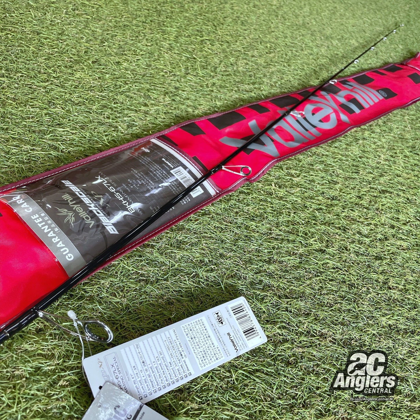 Black Scale XP spinning