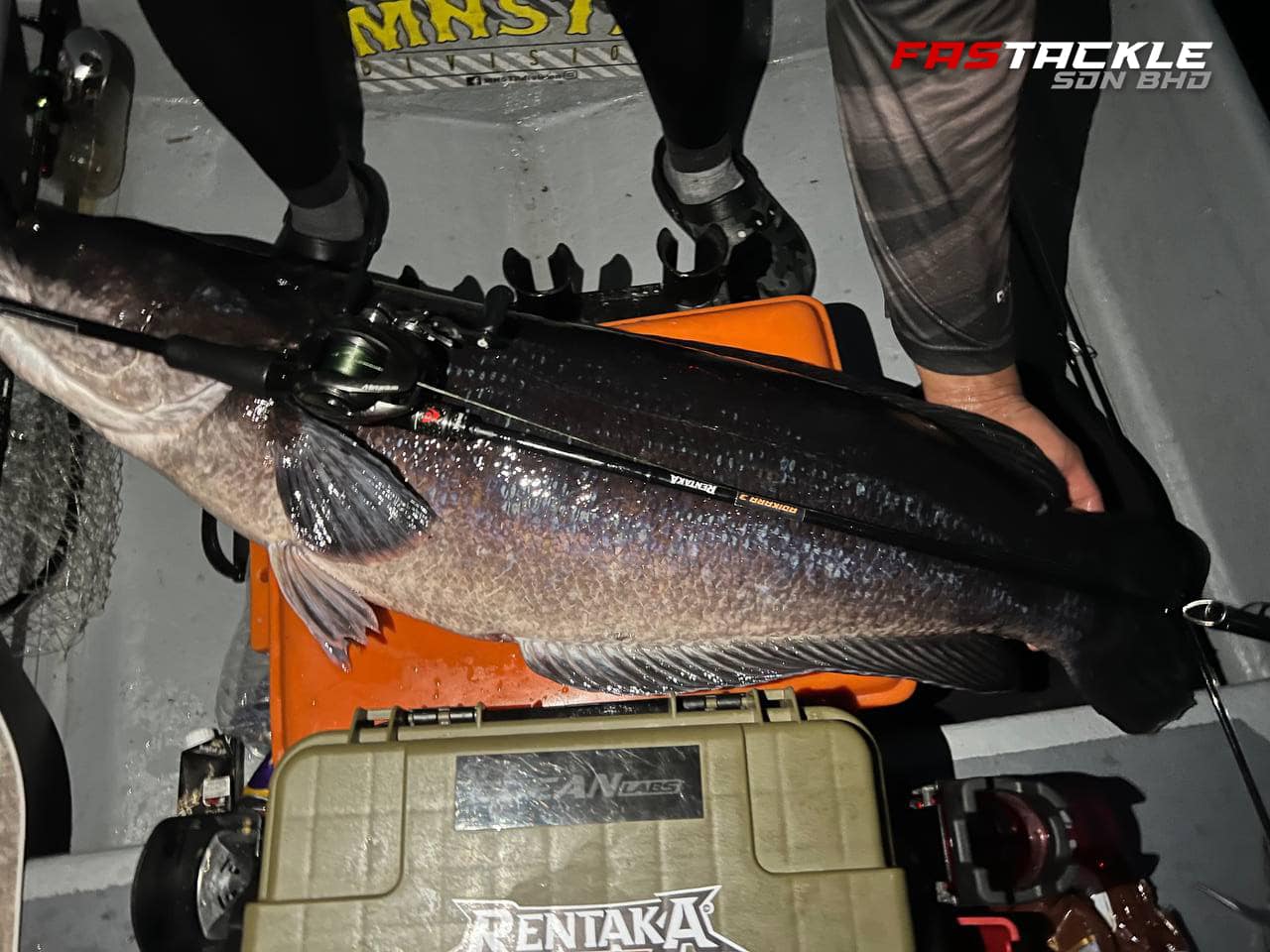 Adikara Baitcast (1pc)