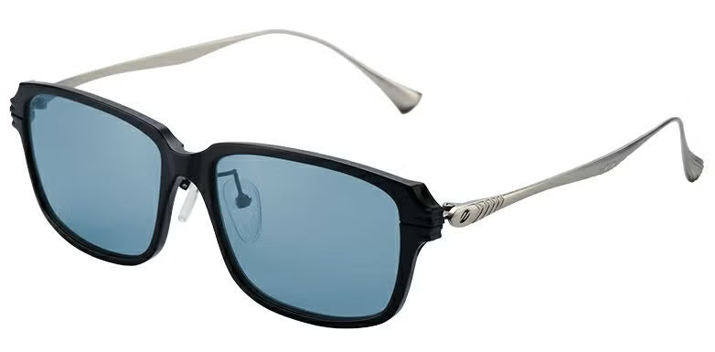 Sunglass Jake F-2203