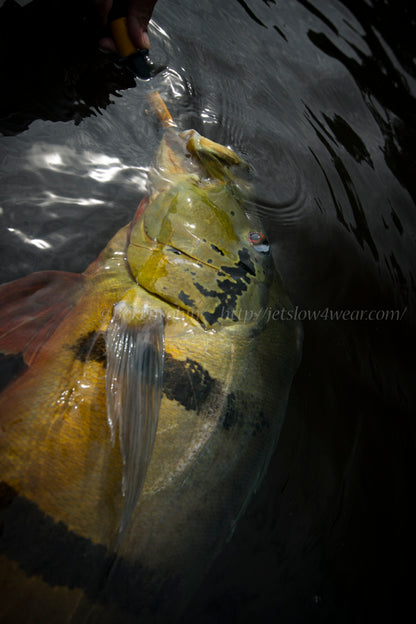 JetSetter 60C Micro Touch (JetSlow×TULALA)