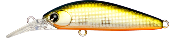 Sukari Ghost 43