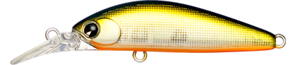 Sukari Ghost 43