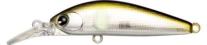 Sukari Ghost 43