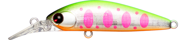 Sukari Ghost 43