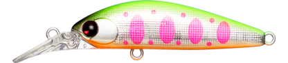 Sukari Ghost 43