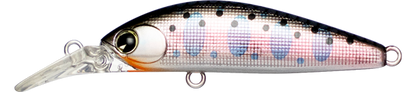 Sukari Ghost 43