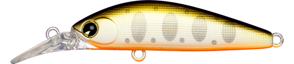 Sukari Ghost 43