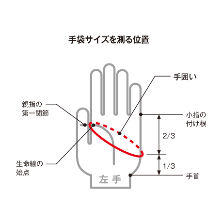 Extreme Gloves 3C (8815)