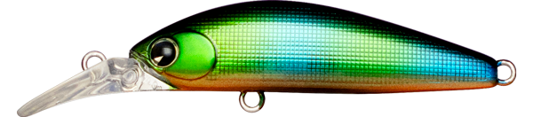 Sukari Ghost 43