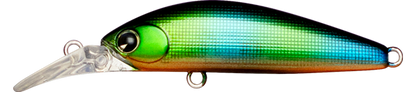 Sukari Ghost 43