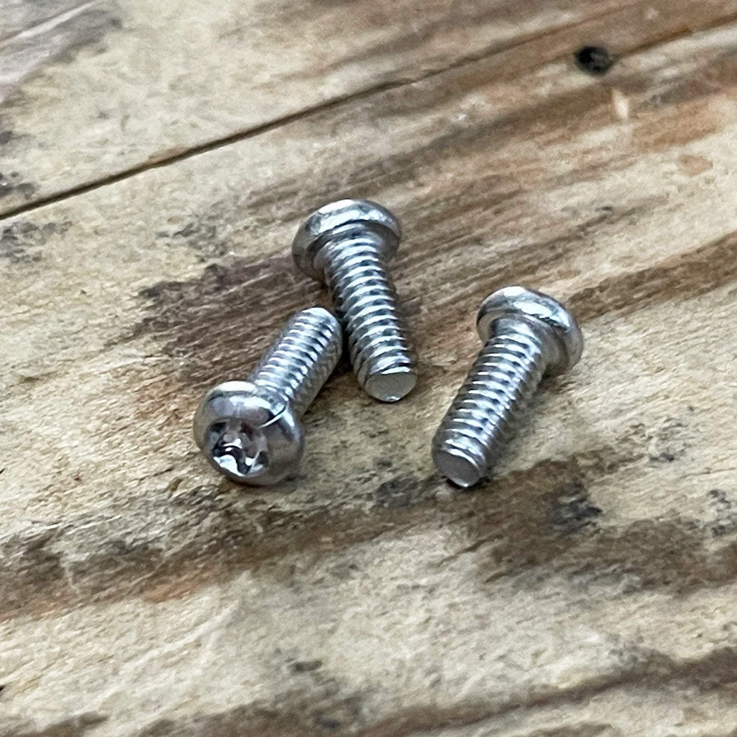 Stainless Steel Torx Screws (304)