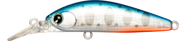 Sukari Ghost 43
