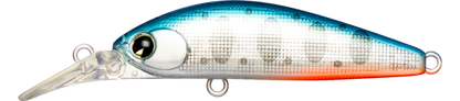 Sukari Ghost 43