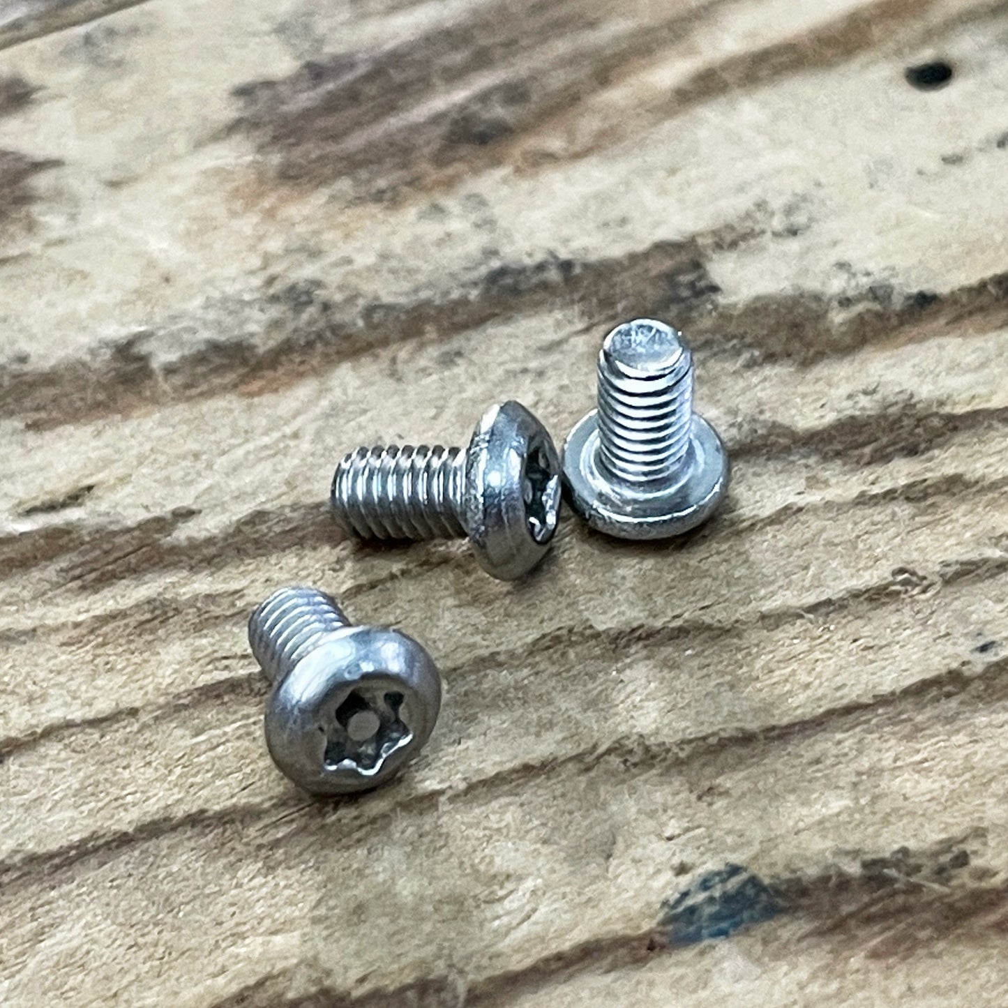 Stainless Steel Torx Screws (304)