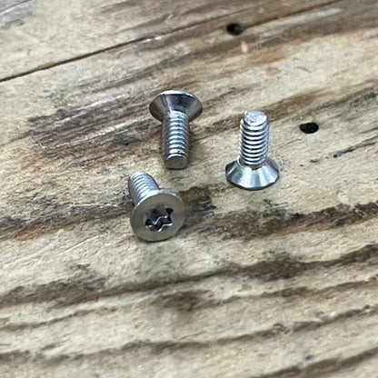 Stainless Steel Torx Screws (304)