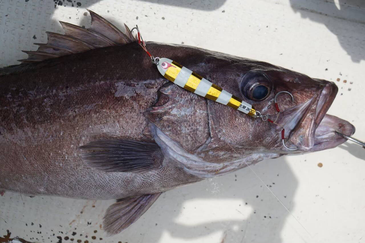 TG Taiko Hideyoshi 300g