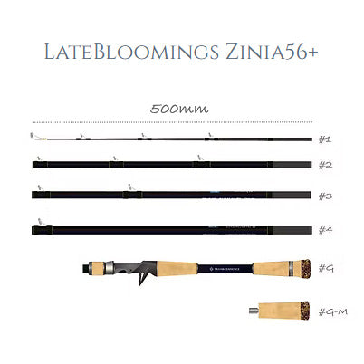 LateBloomings Zinia56+