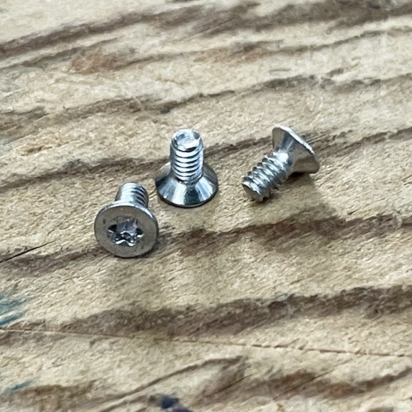 Stainless Steel Torx Screws (304)
