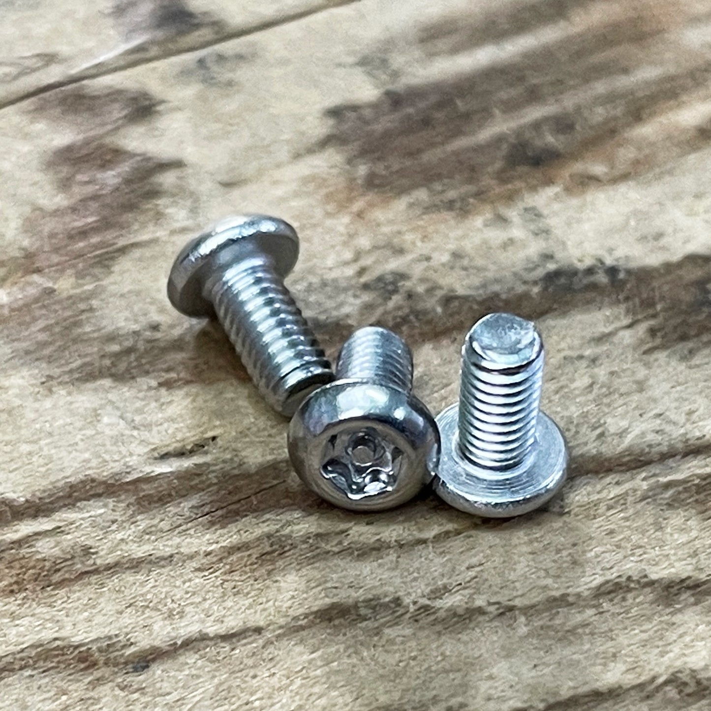 Stainless Steel Torx Screws (304)