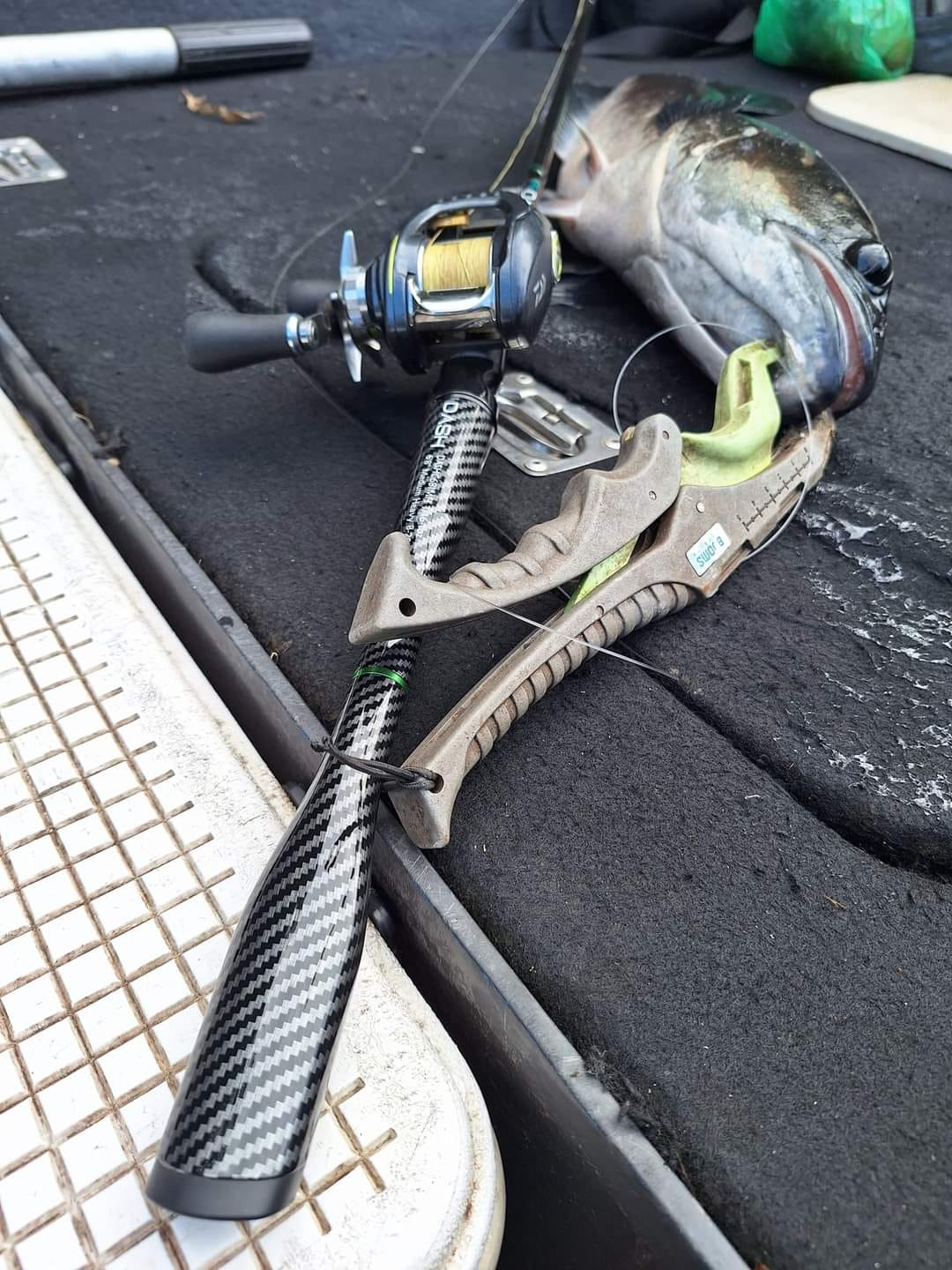 The 1st Model Spin (1pc)