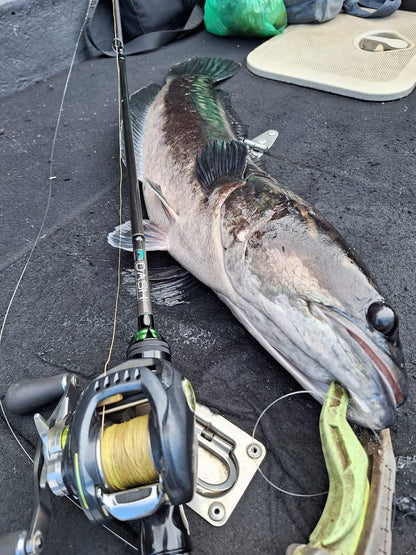 The 1st Model Spin (1pc)