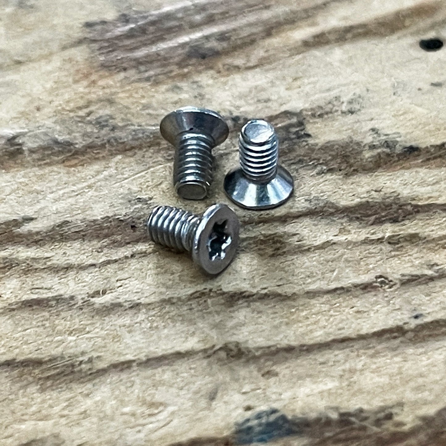 Stainless Steel Torx Screws (304)